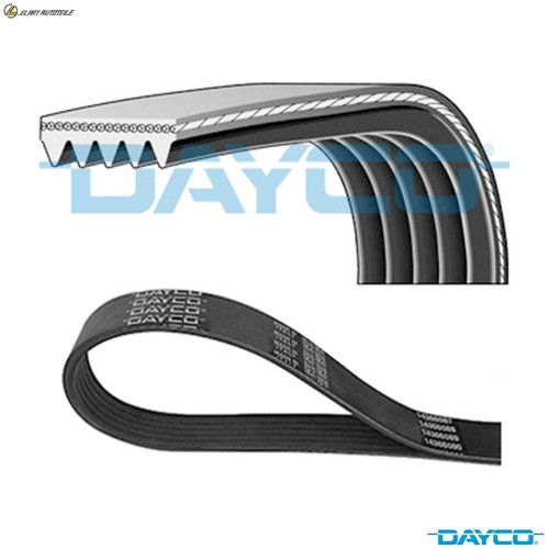 Ribbed belt 5pk884 - belt, for