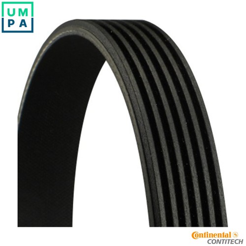 Vribbed belt 6pk780 elast for - belt,