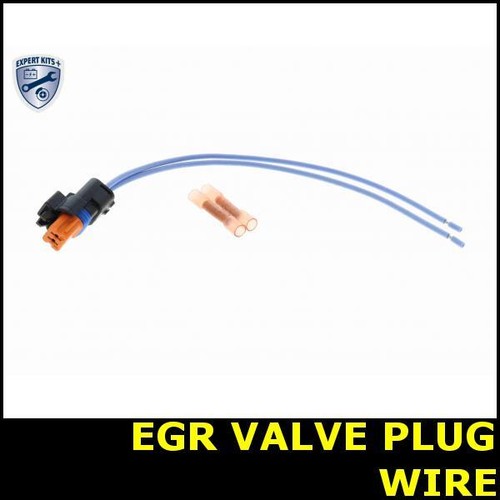 Egr valve plug wire for - valve,