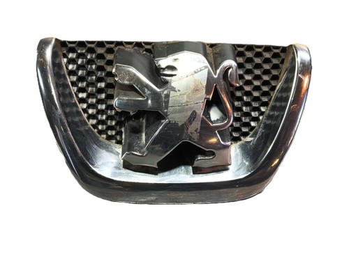 9800313880 front grille - grille, /