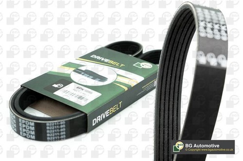 Drive belt ribbed alternator - drive,